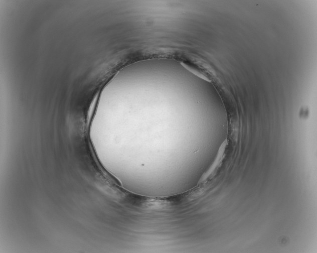 X0000091570617200709100958