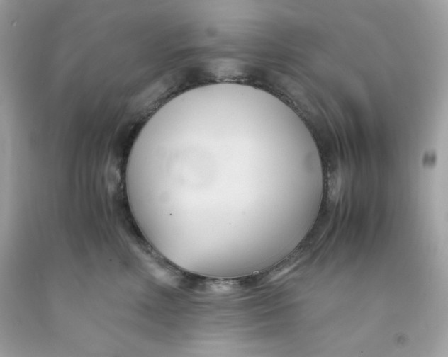 X0000091570618200709100958