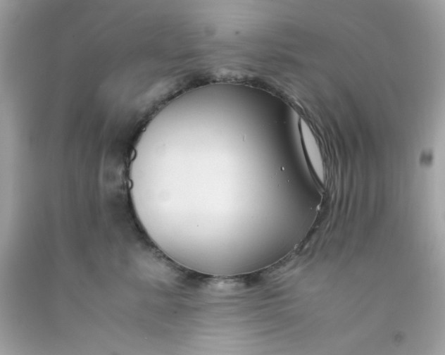 X0000091570619200709100958