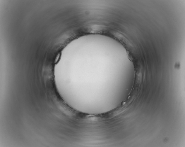 X0000091570620200709100958