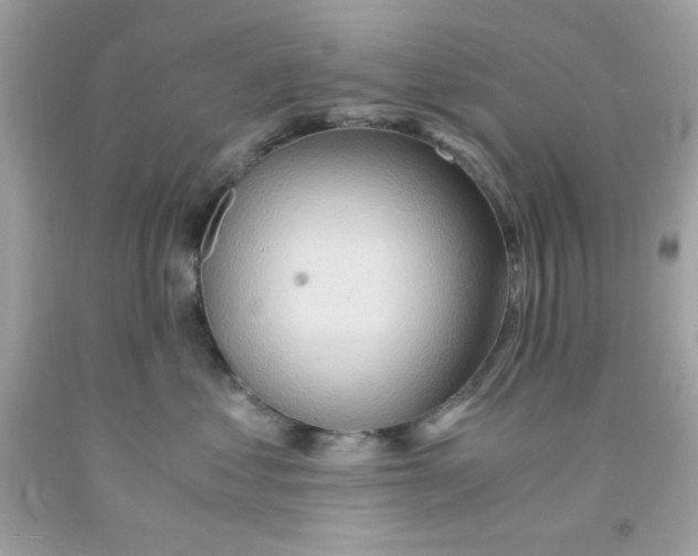 X0000091570621200709100958