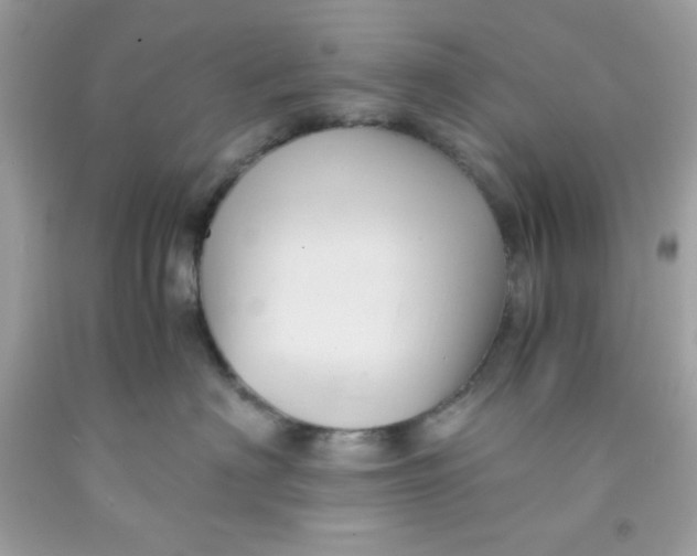 X0000091570622200709100958