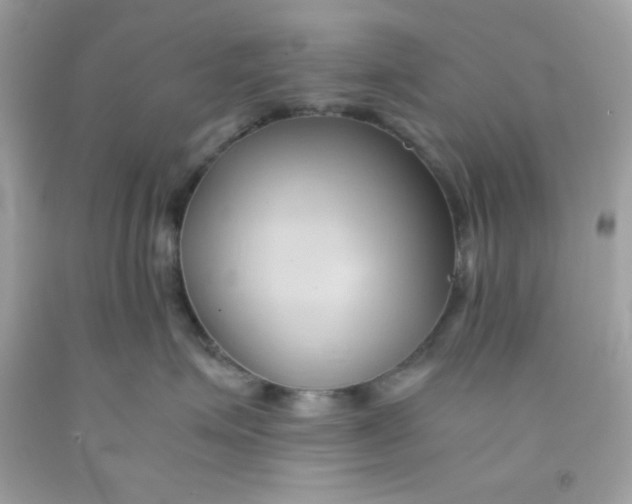 X0000091570623200709100958