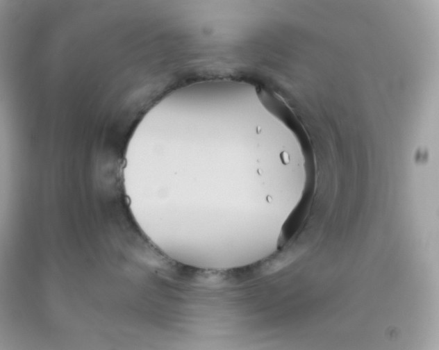 X0000091570624200709100958