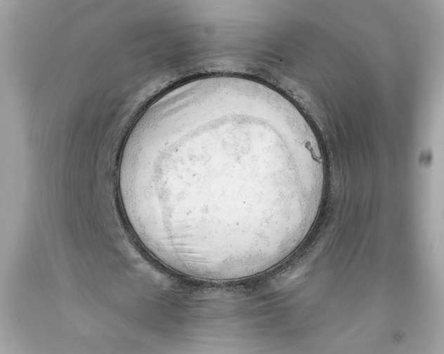 X0000091570625200709100957