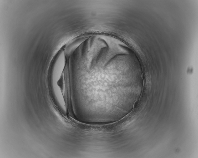 X0000091570626200709100957