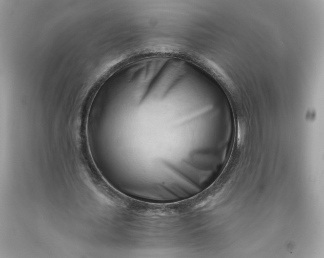 X0000091570627200709100957