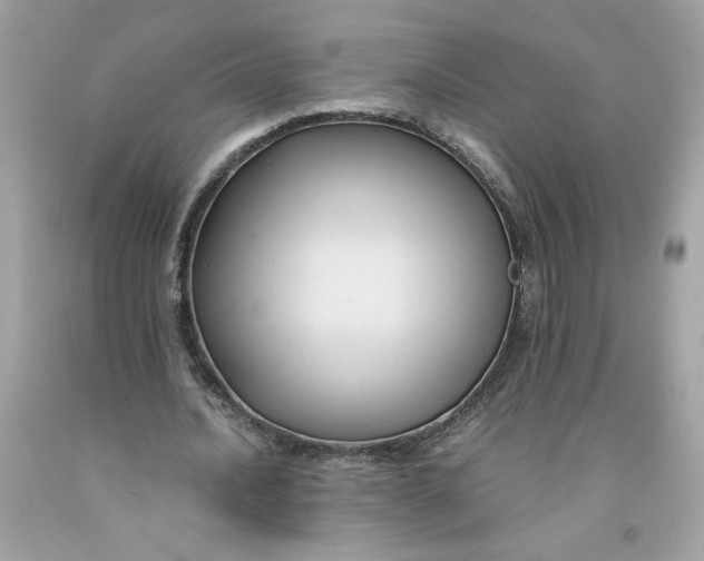 X0000091570628200709100957