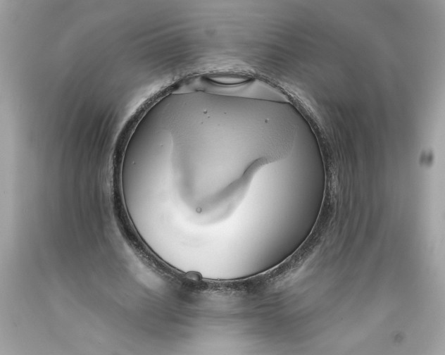 X0000091570630200709100957