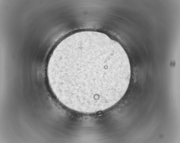 X0000091570632200709100957