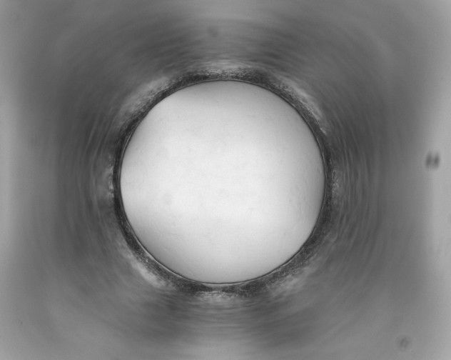 X0000091570633200709100957