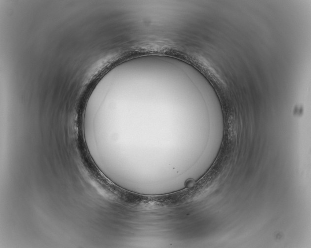 X0000091570634200709100957