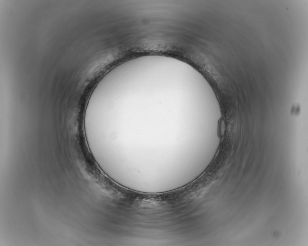 X0000091570635200709100957