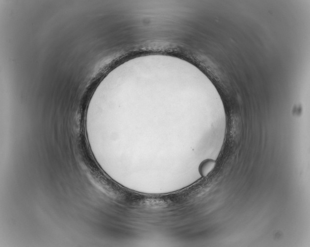 X0000091570636200709100957