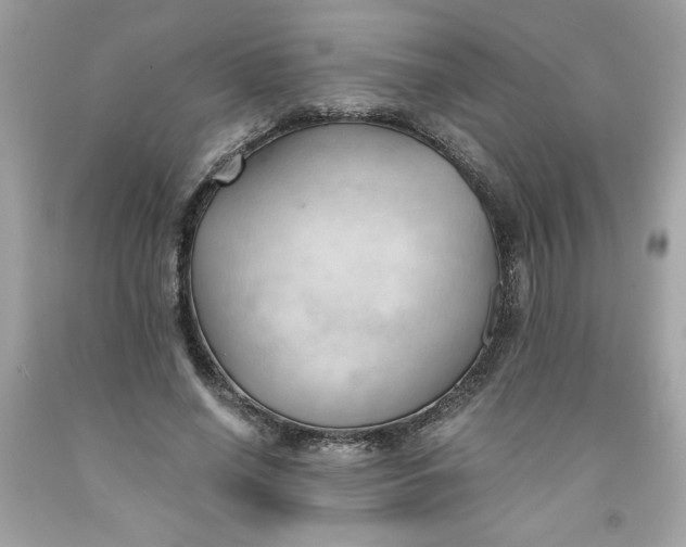 X0000091570638200709100957