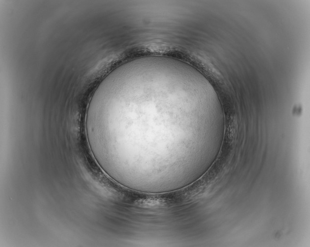 X0000091570639200709100957