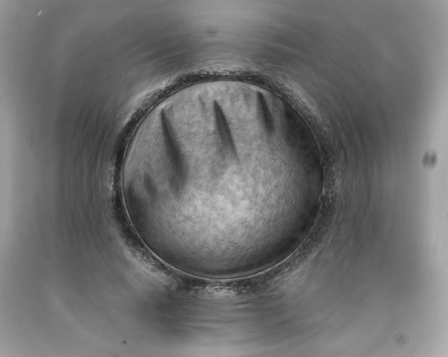 X0000091570640200709100957