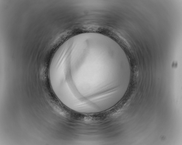 X0000091570641200709100957