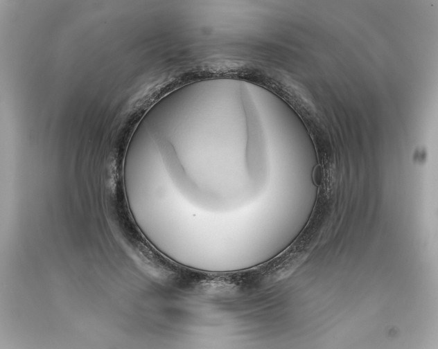 X0000091570644200709100957