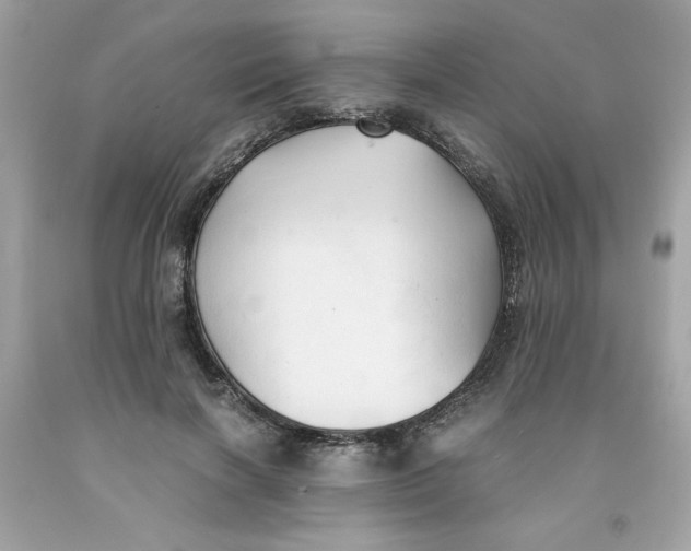 X0000091570646200709100957