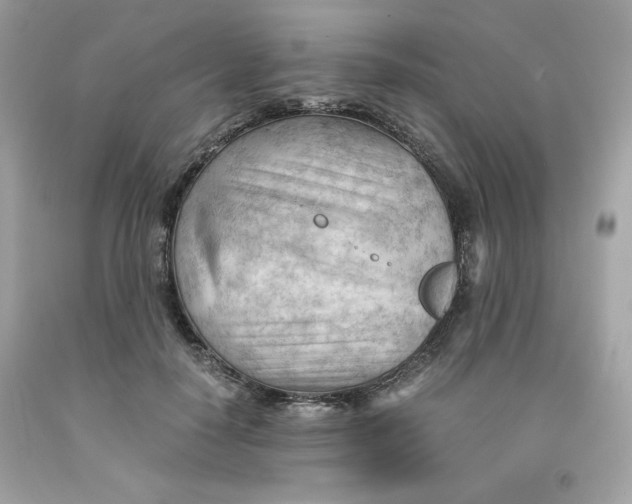 X0000091570650200709100957