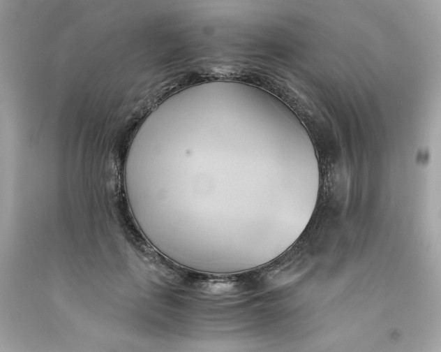 X0000091570651200709100957