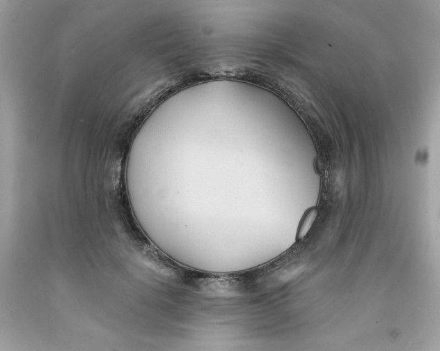 X0000091570652200709100957