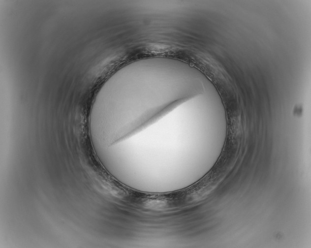 X0000091570653200709100957