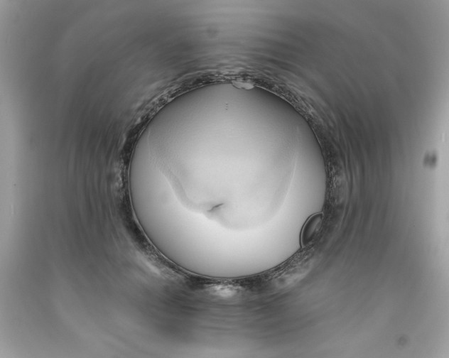 X0000091570654200709100957