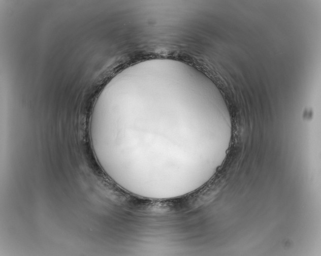 X0000091570656200709100957