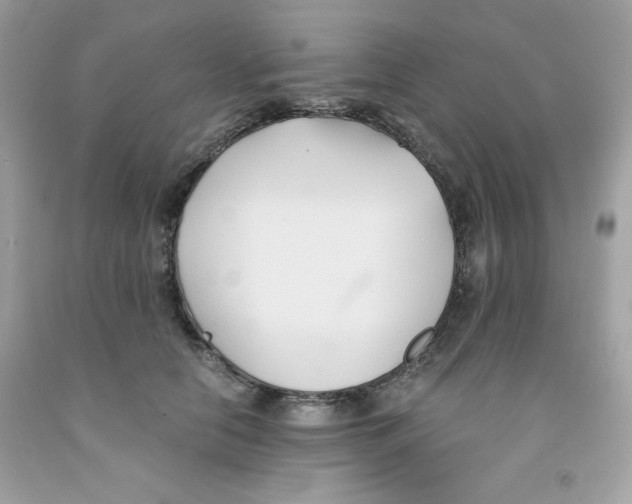 X0000091570658200709100957