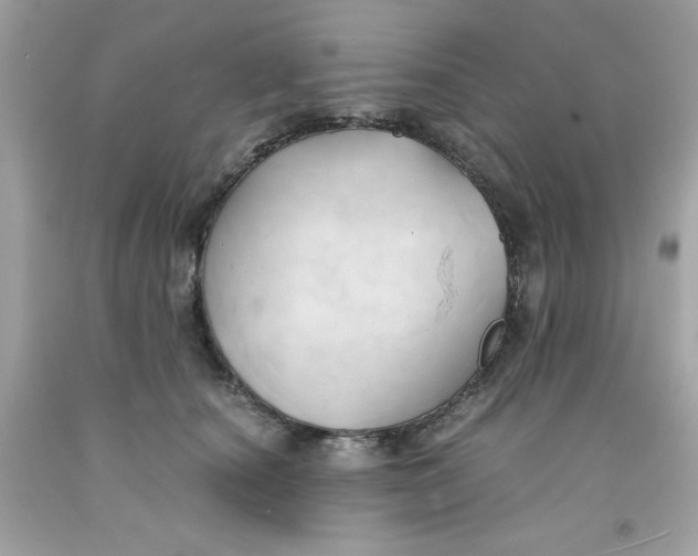 X0000091570660200709100957