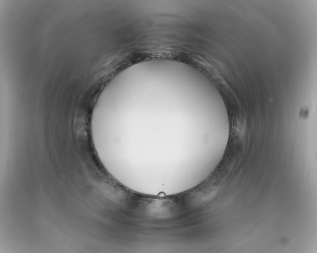 X0000091570663200709100957