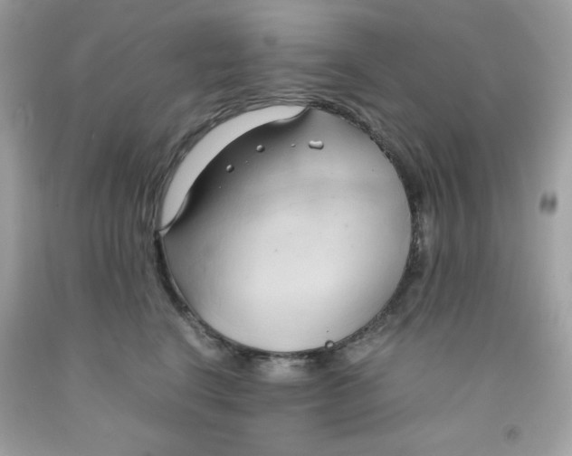 X0000091570664200709100957