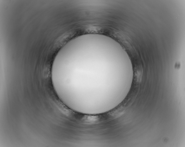 X0000091570665200709100957