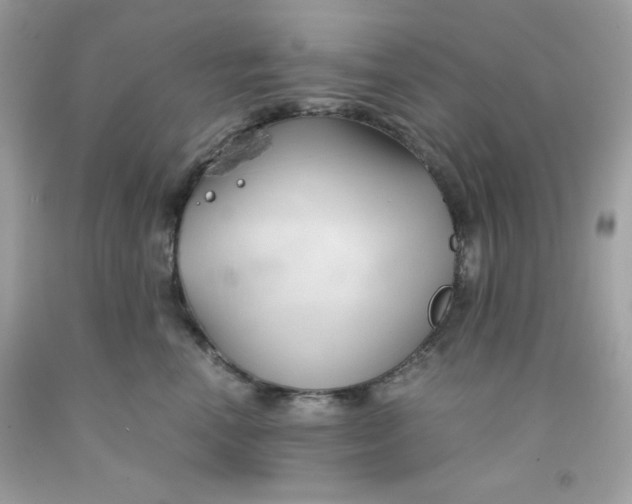 X0000091570666200709100957