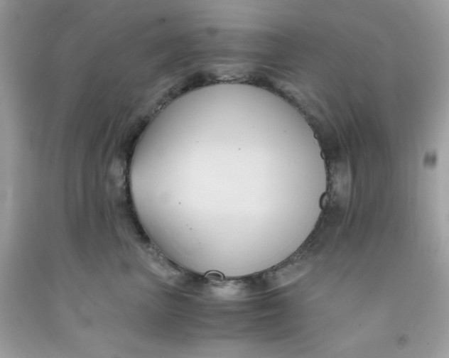 X0000091570667200709100957