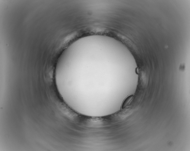 X0000091570668200709100957