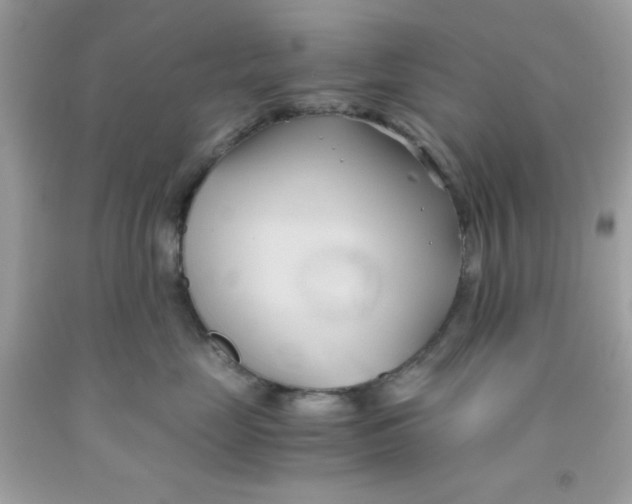 X0000091570669200709100958