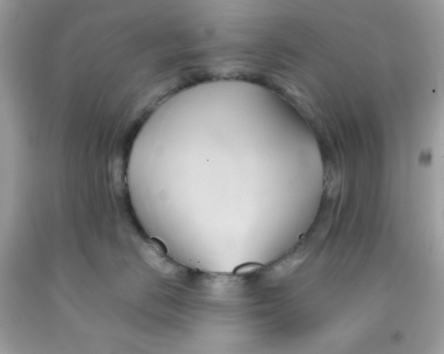 X0000091570670200709100958