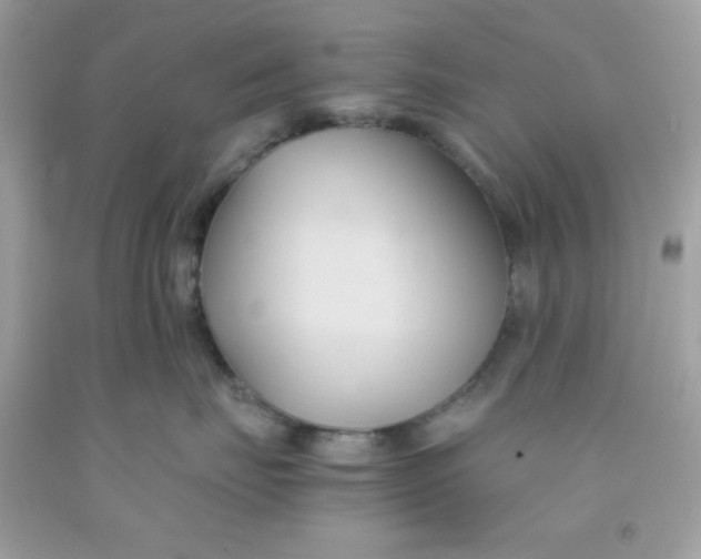 X0000091570671200709100958