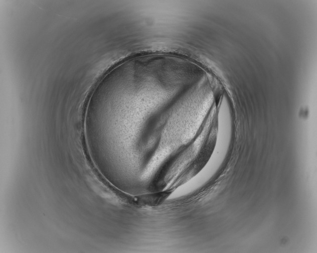 X0000091570673200709100957