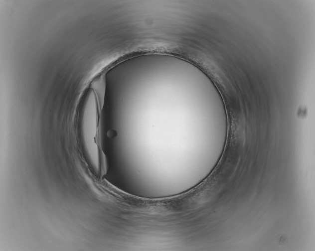 X0000091570674200709100957