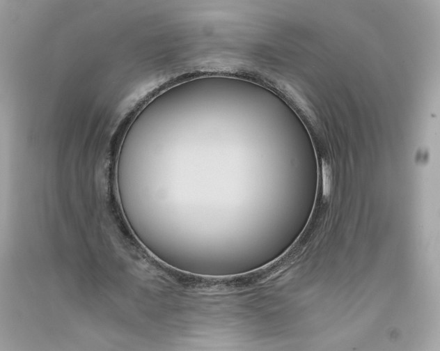 X0000091570675200709100957