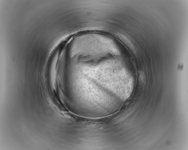 X0000091570676200709100957