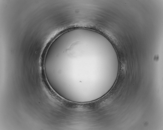 X0000091570678200709100957