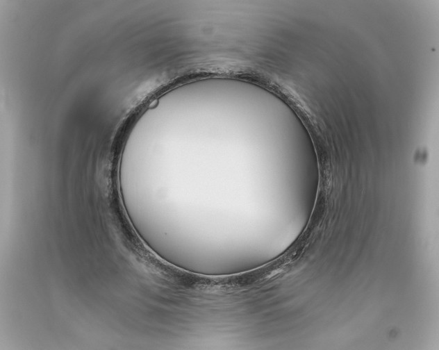 X0000091570679200709100957