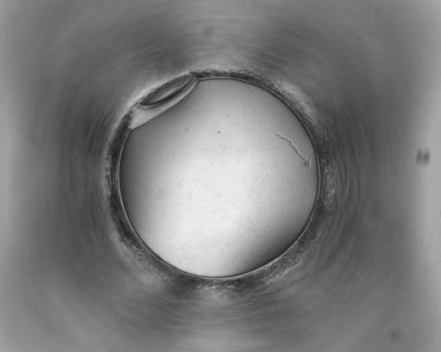 X0000091570680200709100957