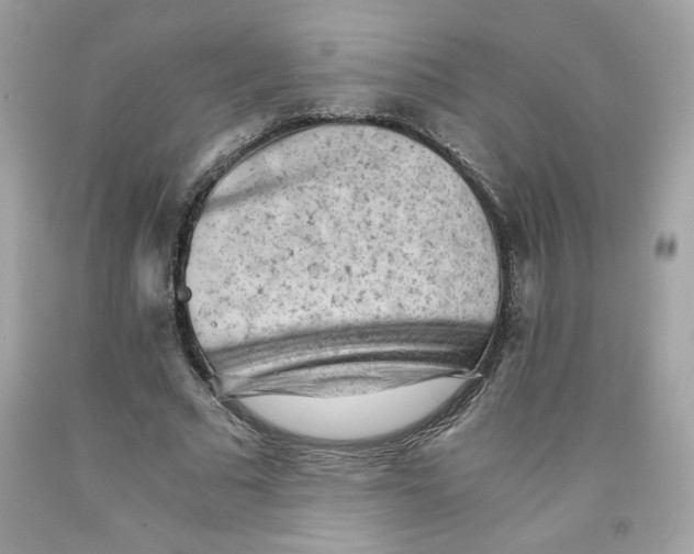 X0000091570681200709100957