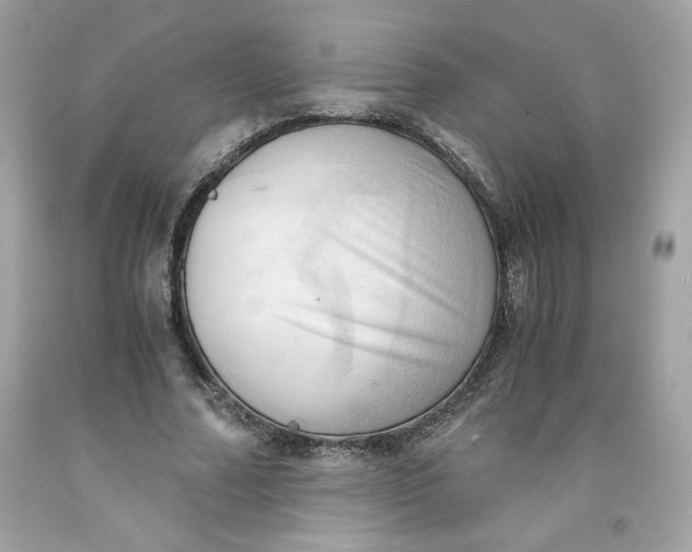 X0000091570682200709100957